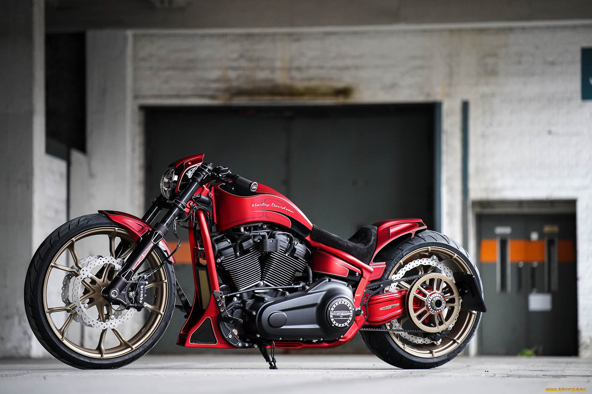 , , harley-davidson, , 